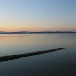DSCN0021